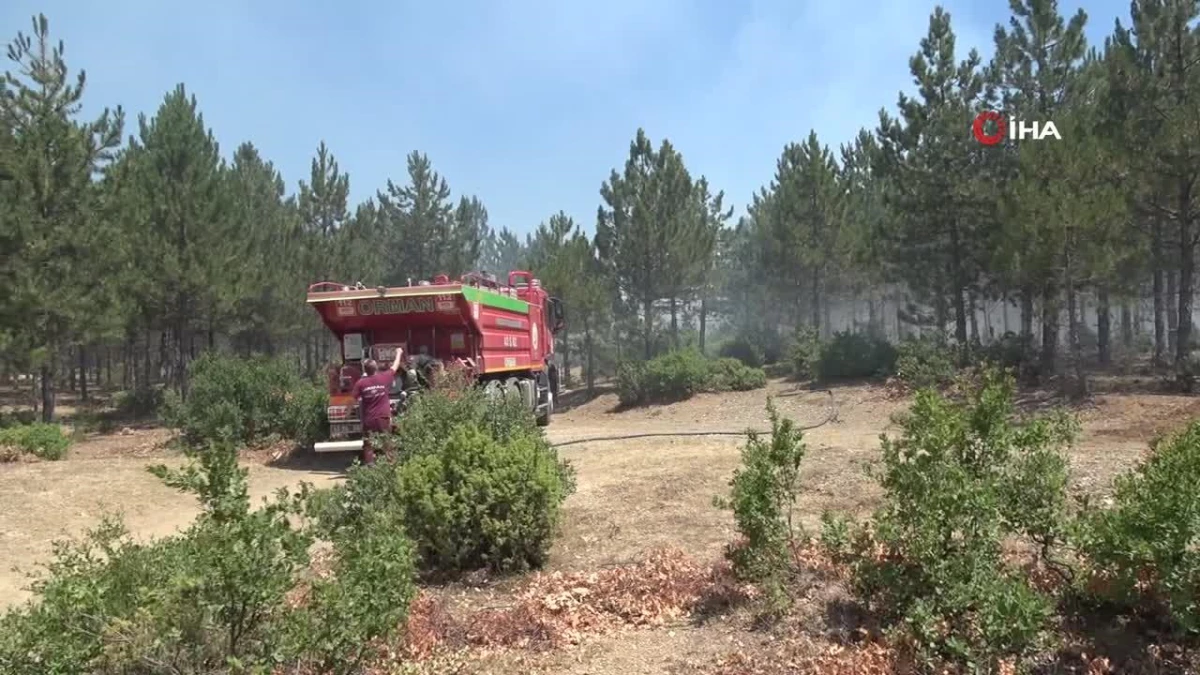 Tavşanlı'da orman yangını